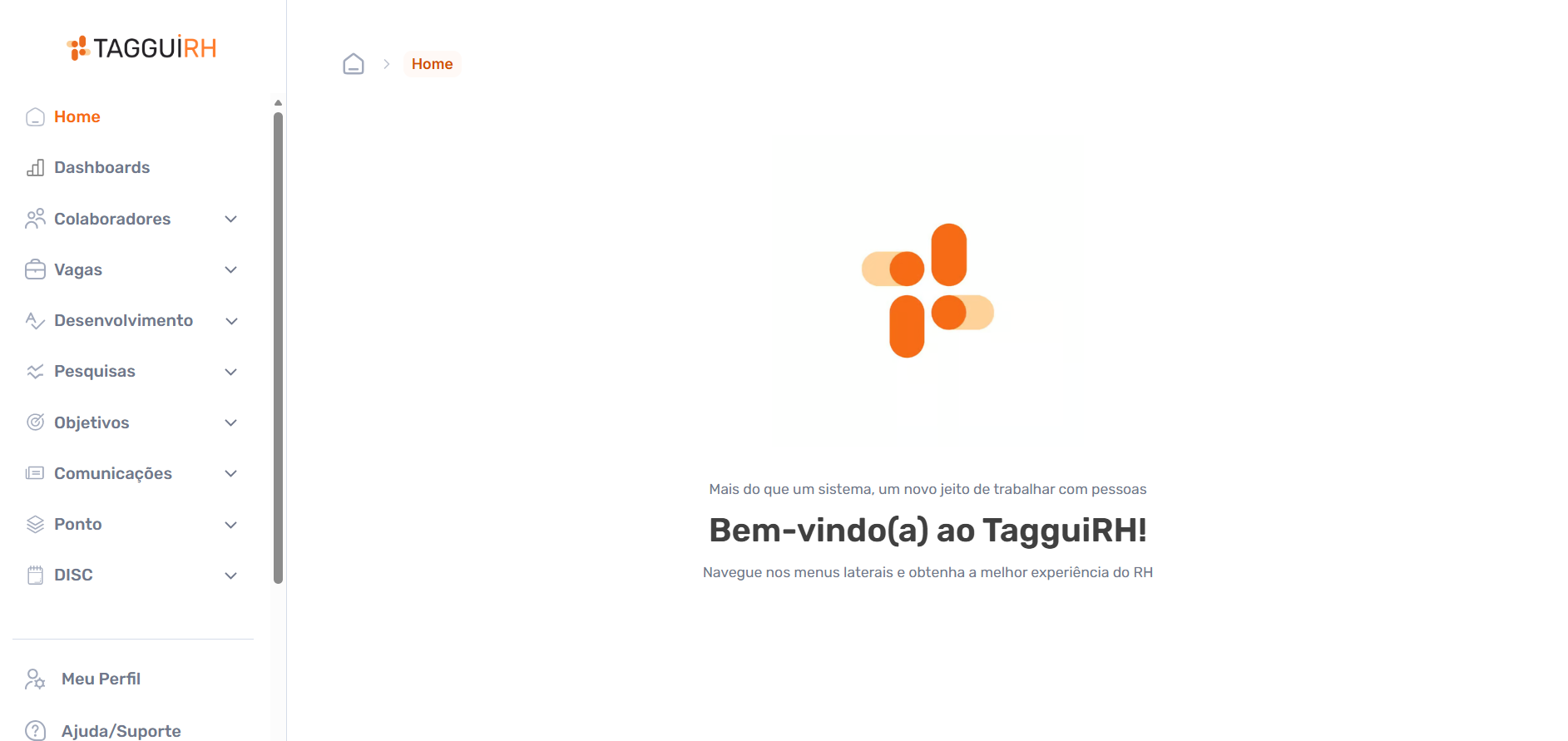 Tela inicial da Taggui RH